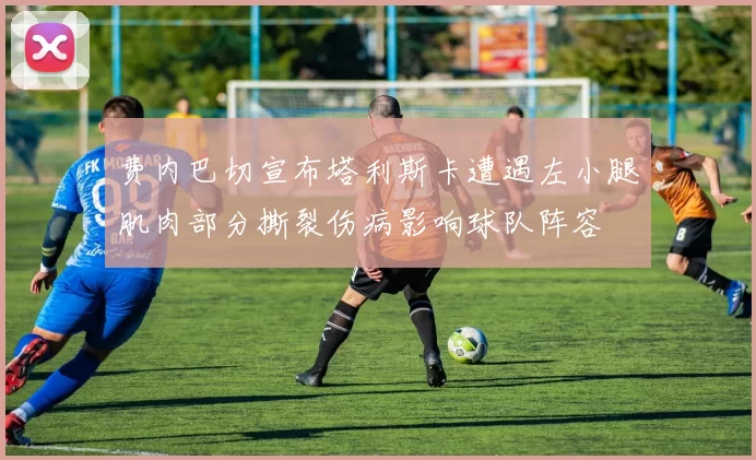 费内巴切宣布塔利斯卡遭遇左小腿肌肉部分撕裂伤病影响球队阵容